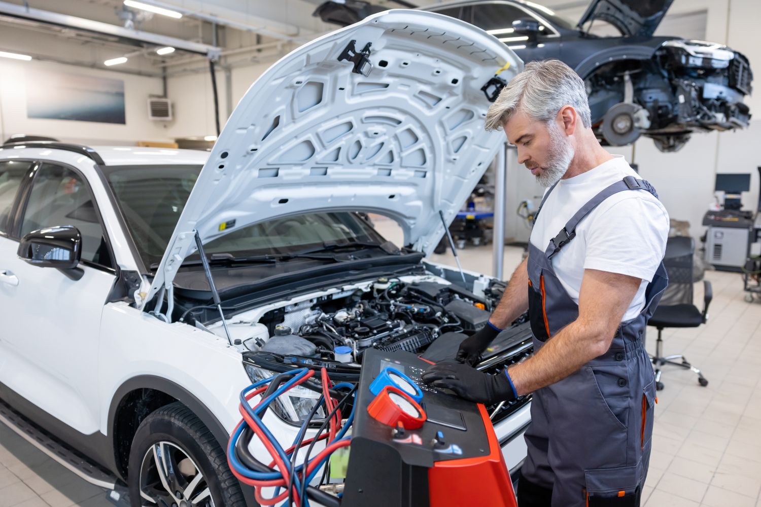 Auto Repair Shop in Sarasota for Sale