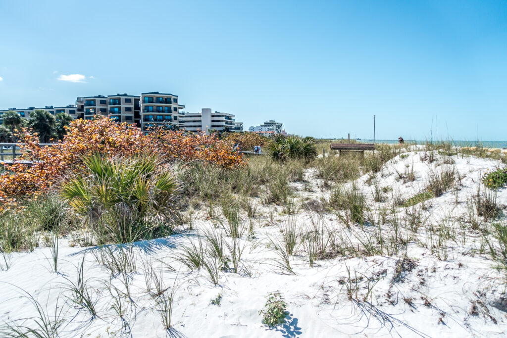 Coastal scenery of Anna Maria Island and Bradenton Beach Florida, illustrating Bradenton’s appeal to business buyers.