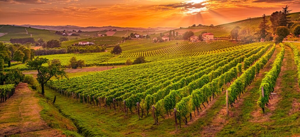 Vineyards and Wineries for Sale in Florida